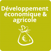 domaine d'intervention-developpement economique