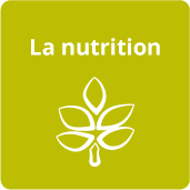 domaine d'intervention-nutrition