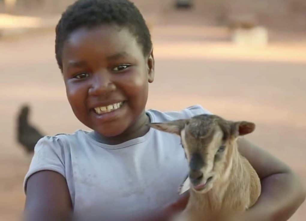 Les cadeaux solidaires, une "ruche idée" à Noël !