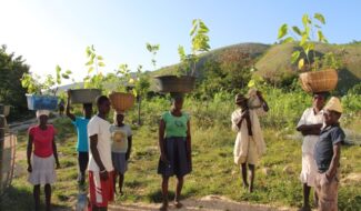 Aménagement innovant des bassins versants et sécurisation des productions agricoles en Haïti