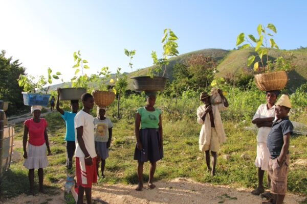 Aménagement innovant des bassins versants et sécurisation des productions agricoles en Haïti