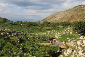 Aménagement innovant des bassins versants et sécurisation des productions agricoles en Haïti