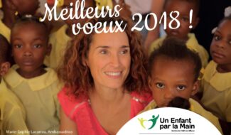 Voeux 2018-ueplm