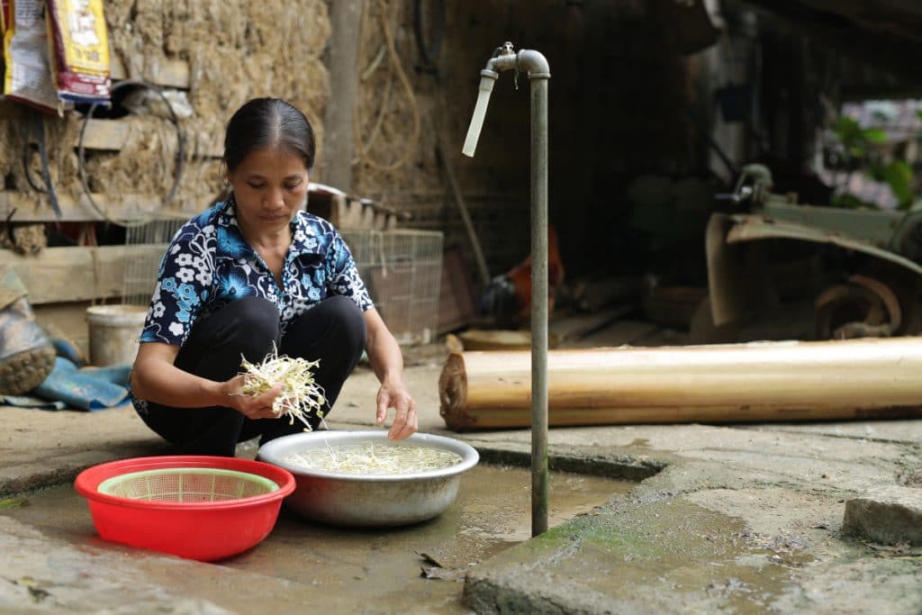 Vui- vietnam