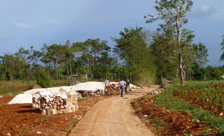 Le Réseau d’Organisations des Producteurs Agricoles des Nippes ( ROPANIT et le PAM, 2 organisations qui ont été mises en relation par Un Enfant par la Main il y a plusieurs années, ont récemment conclu un contrat d’approvisionnement en denrées locales (ignames, patates douces, haricots, carottes, choux, mirlitons) des cantines scolaires dans les Nippes.