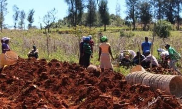 AMÉLIORER LA SÉCURITÉ ALIMENTAIRE ET LA RÉSILIENCE DES POPULATIONS