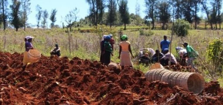 AMÉLIORER LA SÉCURITÉ ALIMENTAIRE ET LA RÉSILIENCE DES POPULATIONS