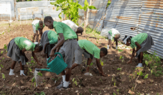 Haiti Sensibiliser les enseignants et leurs élèves à la préservation de l’environnement