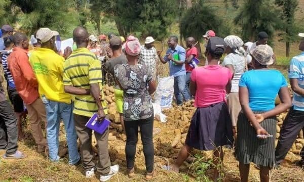 DES PRATIQUES AGRICOLES RÉSILIENTES POUR PRÉSERVER LES BASSINS VERSANTS HAÏTIENS