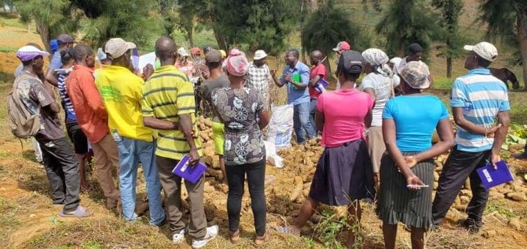 DES PRATIQUES AGRICOLES RÉSILIENTES POUR PRÉSERVER LES BASSINS VERSANTS HAÏTIENS