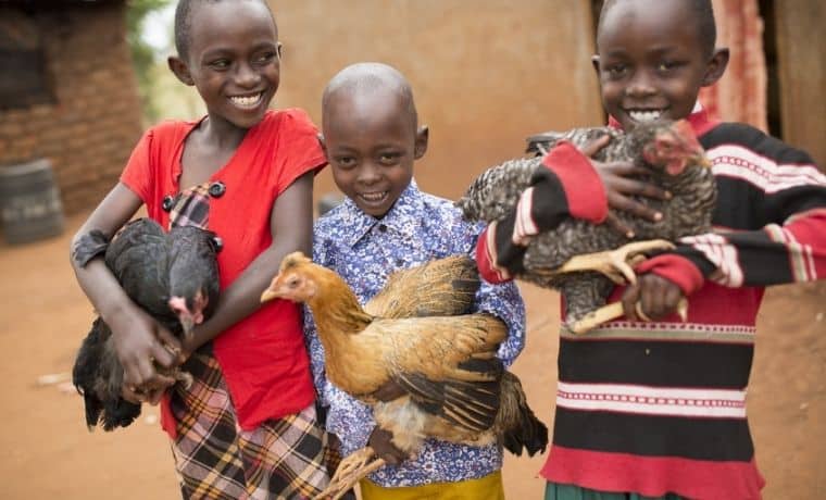 Qu’est-ce que la sécurité alimentaire ? La faim expliquée