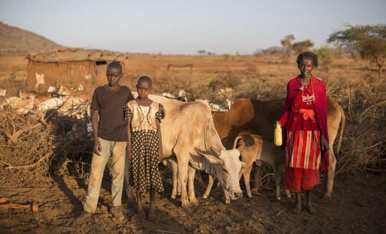 Qu’est-ce que la sécurité alimentaire ? La faim expliquée