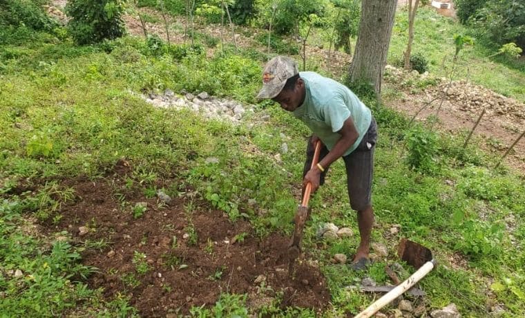 Un kit agricole pour préserver ses terres en Haïti
