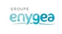 logos entreprises enygea