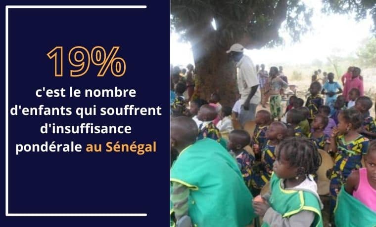 Une chèvre pour améliorer les revenus familiaux au Sénégal