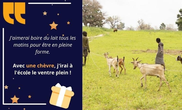 Une chèvre pour améliorer les revenus familiaux au Sénégal