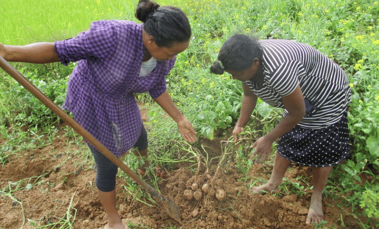 Madagascar : Des repas sains et variés pour pour lutter contre le décrochage scolaire 