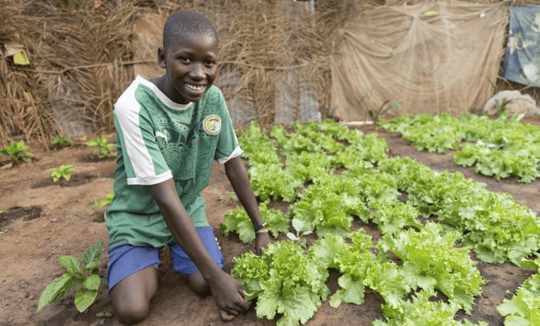 Notre programme de Pata et Kerewane au Sénégal 