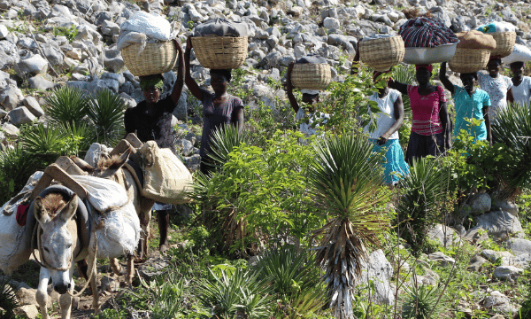Le désenclavement de la région de la Chaîne des Matheux en Haïti en améliorant les routes rurales