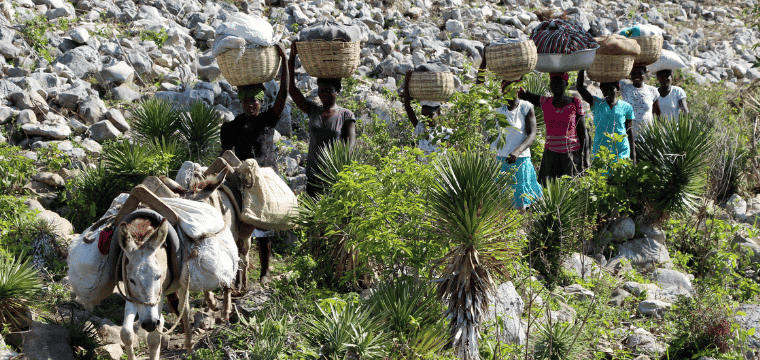 Le désenclavement de la région de la Chaîne des Matheux en Haïti en améliorant les routes rurales