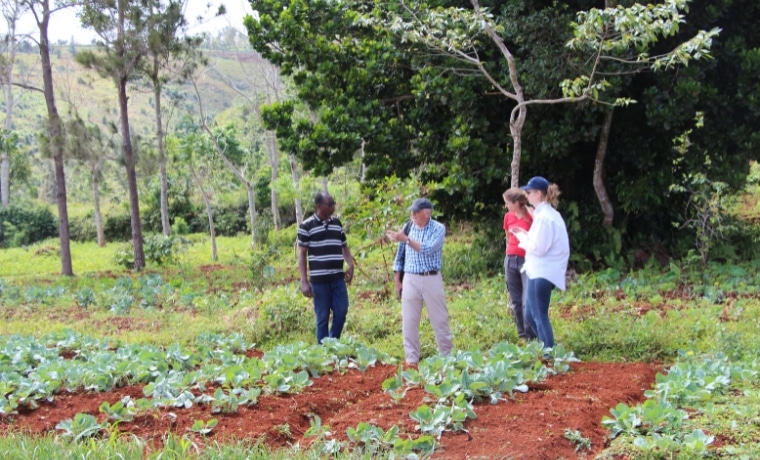 michel brochet agriculture salagnac haiti projet agricole sur le terrain