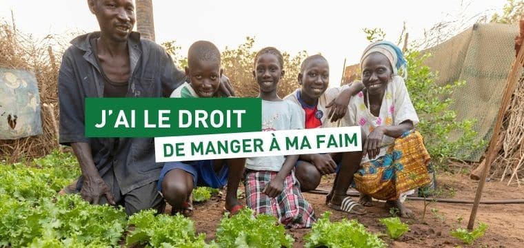 Un kit d’outils agricoles pour aider les agriculteurs au Sénégal