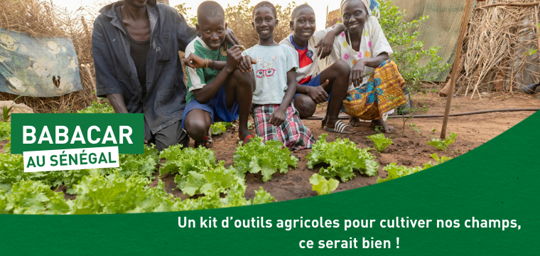 Un kit d’outils agricoles pour aider les agriculteurs au Sénégal