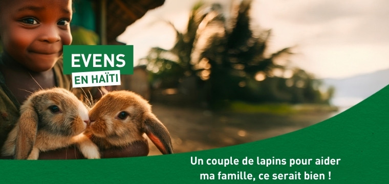 lapins haiti