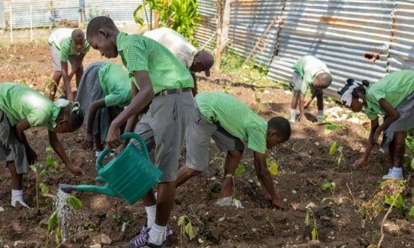 environnement haiti