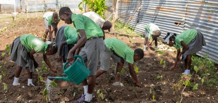 environnement haiti