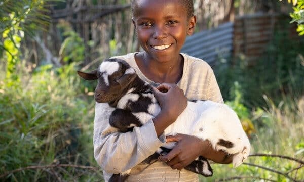 bilan cadeaux solidaires 2023
