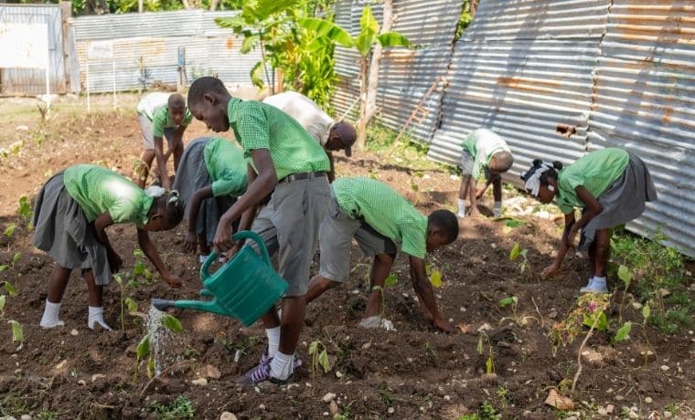 Projet Renouveau 2 haiti