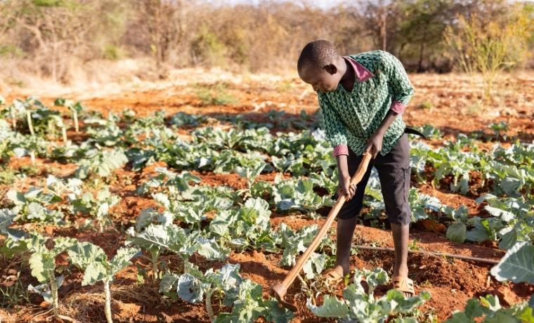 Comprendre le travail des enfants pour mieux le combattre