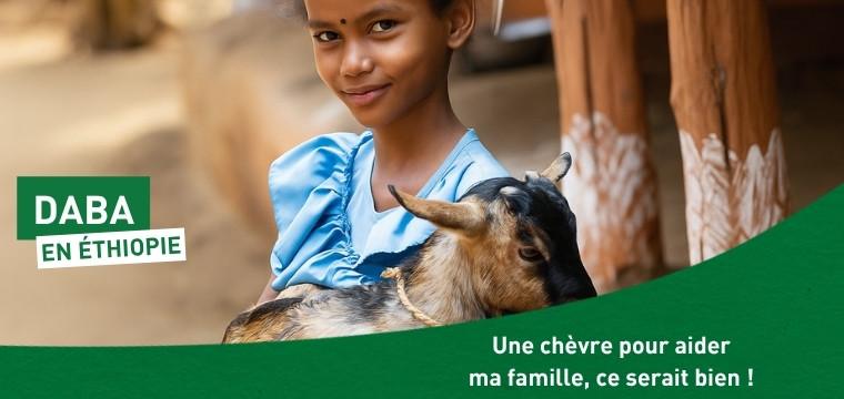 chevre ethiopie