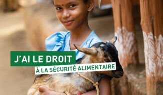 chevre éthiopie header