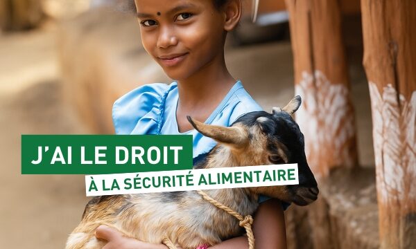 chevre éthiopie header